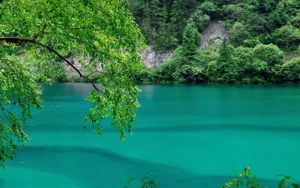 创新可靠性